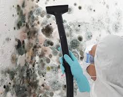 Best Mold Prevention Services  in Cutchogue, NY